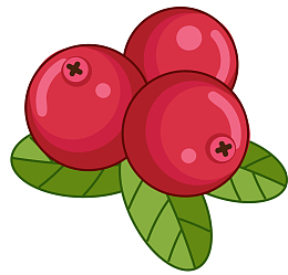 红色黑边圆形蔓越莓