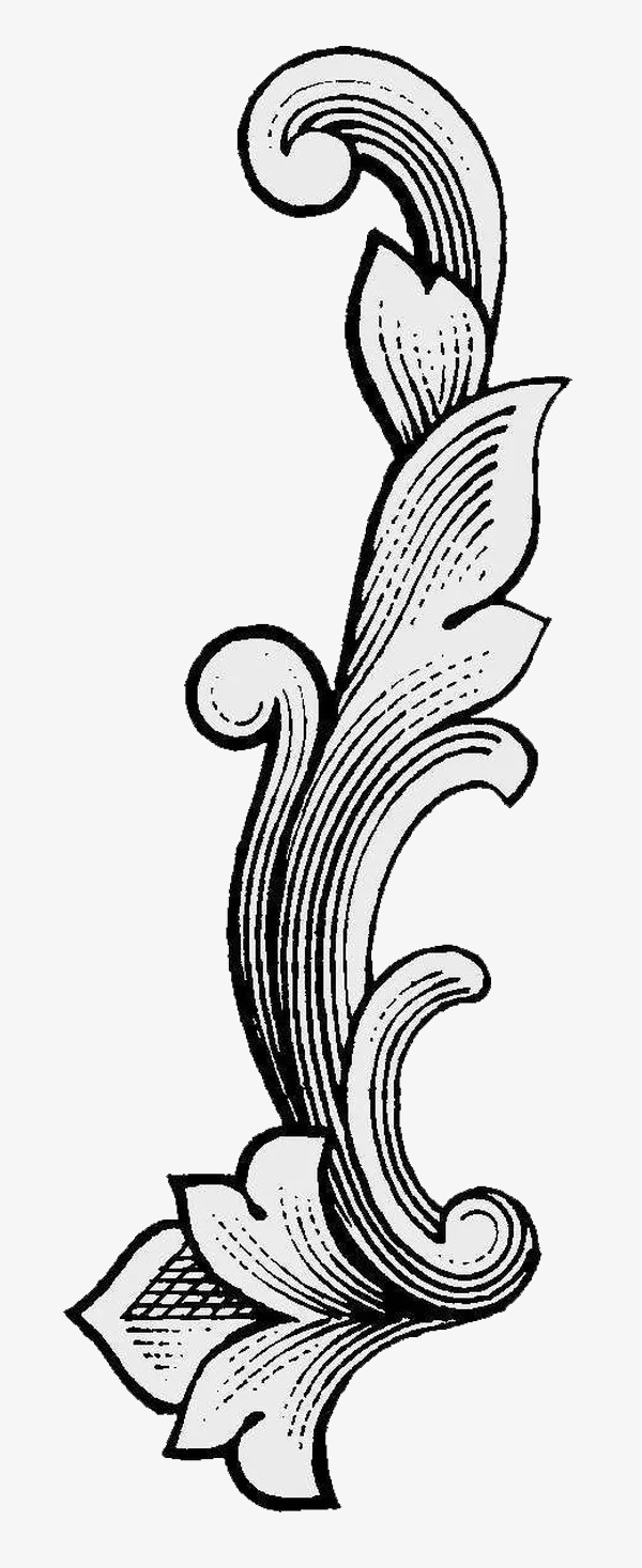 古典白描图案png
