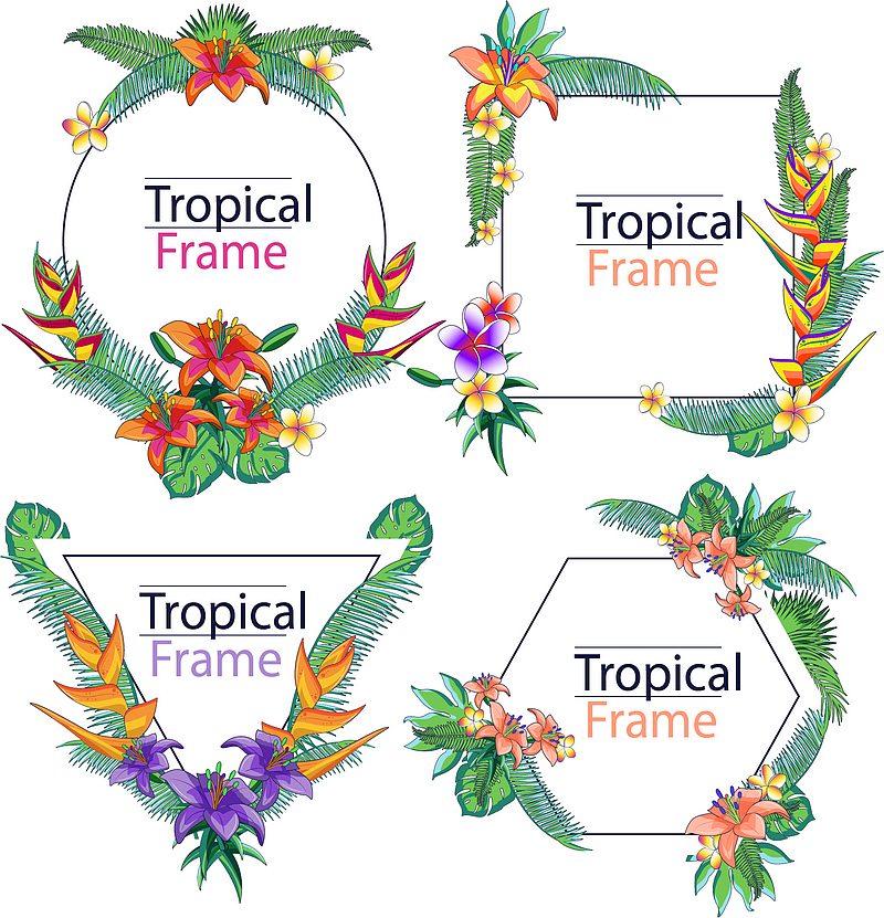 4款彩绘热带花草框架矢量素材