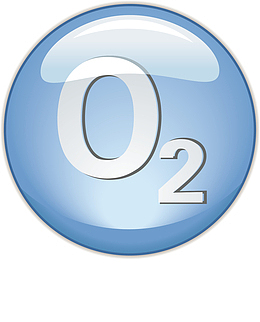 圆形的生物按钮卡通