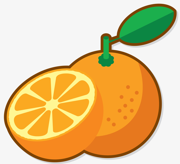 扁平风格圆形矢量果实