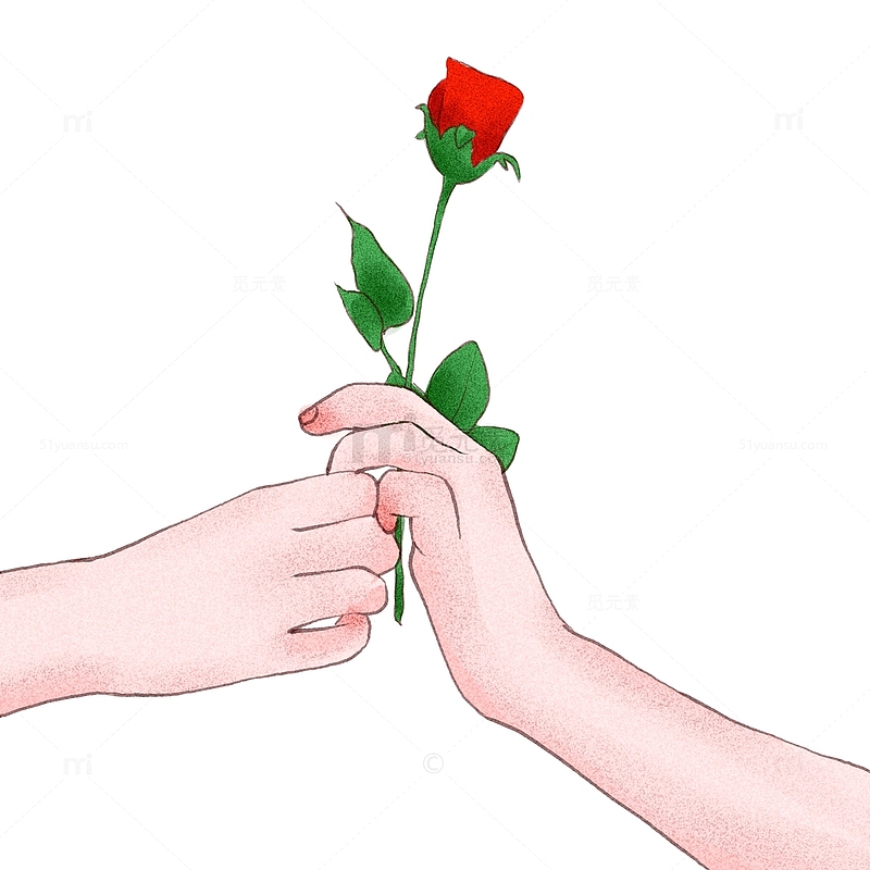 情侣情人节表白玫瑰花