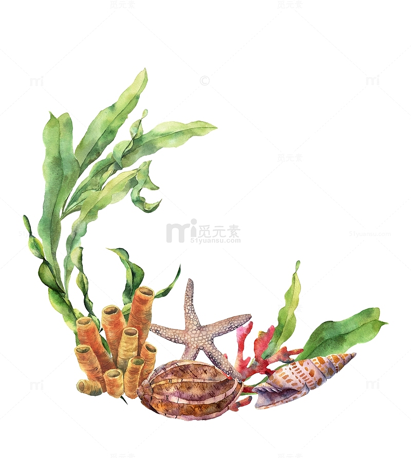 手绘海洋生物植物装饰
