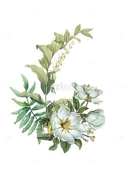 手绘画小清新花朵装饰