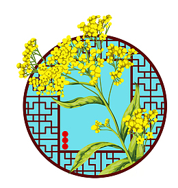 小清新春暖花开醉美油菜花背景