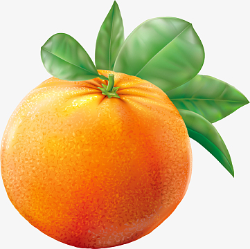 卡通手绘水果装饰海报设计