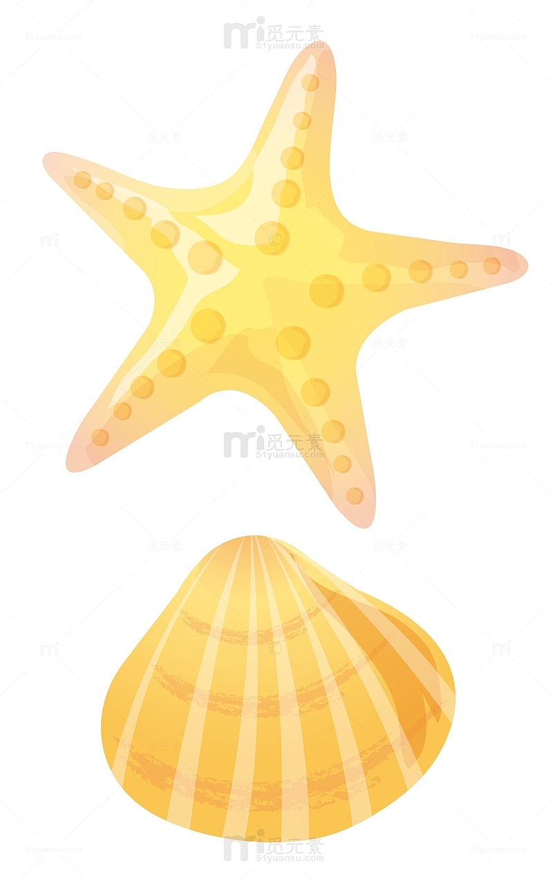 手绘海星和贝壳png