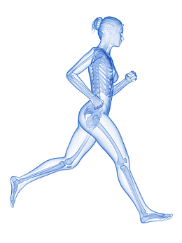 女人慢跑立体插画