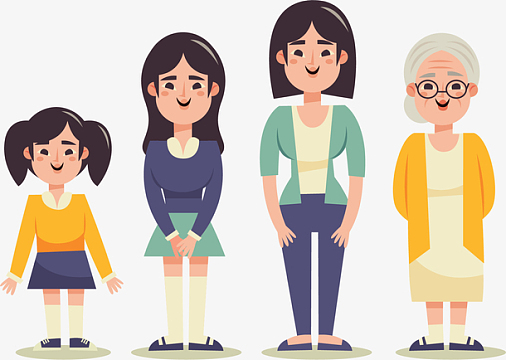 生命周期女人一生