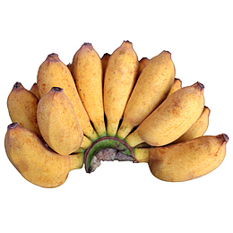 一串黄色小清新淘宝小米蕉水果免