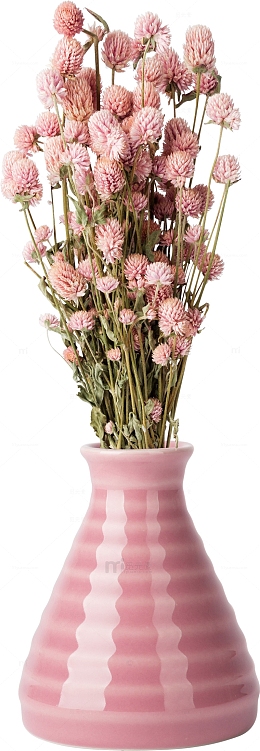 小清新花瓶花束素材
