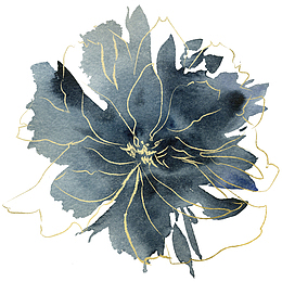手绘水彩深蓝金边花朵