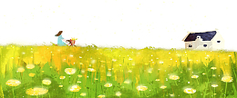 手绘黄色油菜花插画