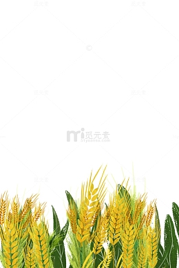 唯美小清新节气河流群山下的麦田