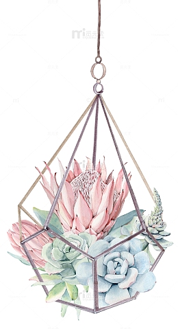 手绘卡通多肉吊篮组合