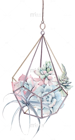 手绘卡通多肉组合吊篮