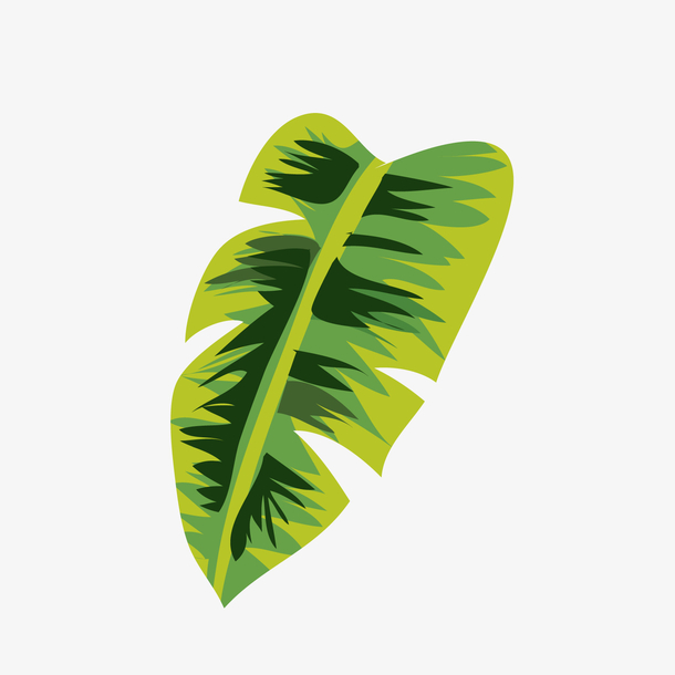 绿色热带植物矢量图