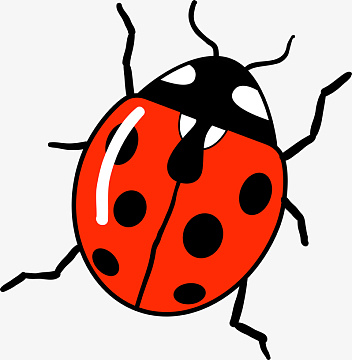 七星瓢虫免抠素材