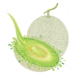 小清新水果哈密瓜