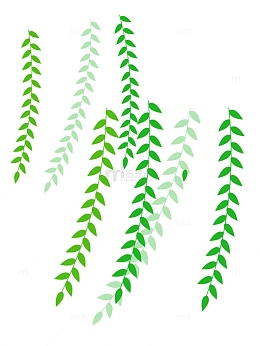 春季柳叶飘扬清新