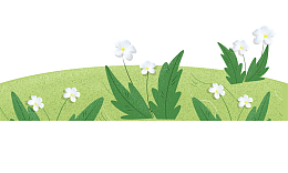 初夏小清新装饰插图草坪青草野花