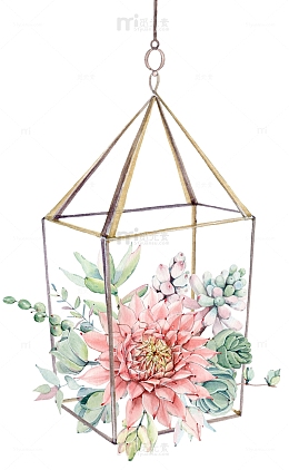 手绘卡通多肉吊篮组合