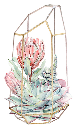 手绘卡通多肉植物