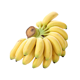 一串黄色小清新小米蕉免抠产品实