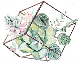 手绘卡通多肉组合