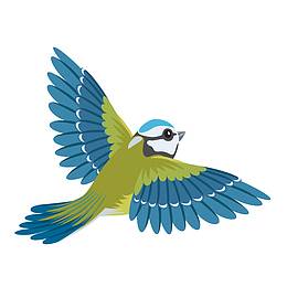 矢量手绘飞翔小鸟