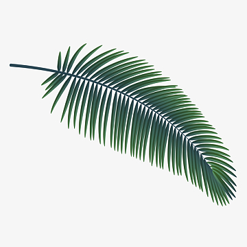 时尚植物素材_时尚植物图片元素-觅元素