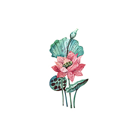 矢量手绘植物莲花