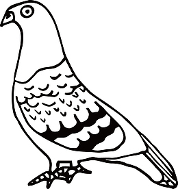 黑色手绘鸽子卡通素材