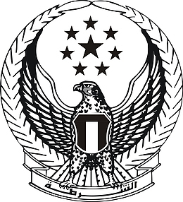 黑白星星白头鹰勋章