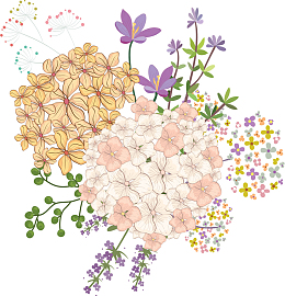 夏天美丽绣球花花束