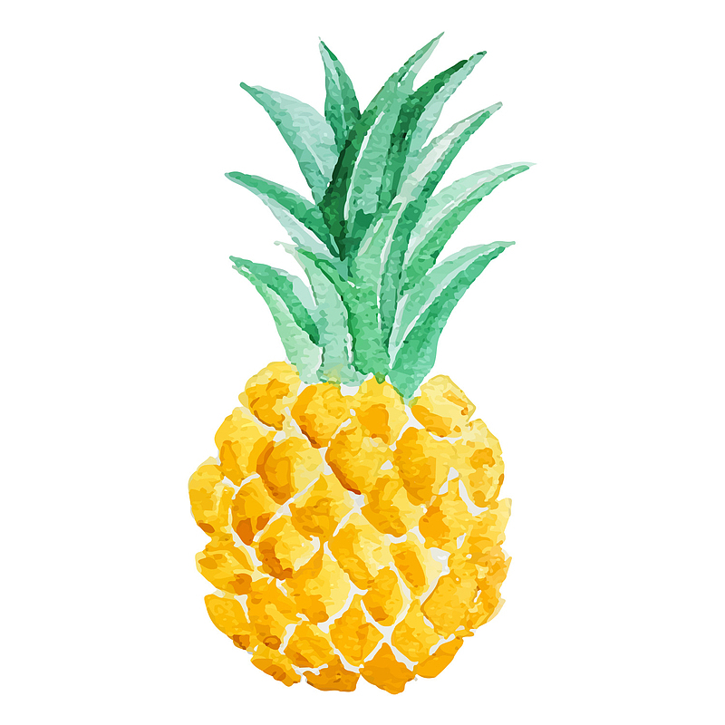 夏日水果菠萝插画