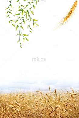 清新风二十四节气小满主题边框