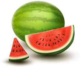 手绘西瓜片矢量图