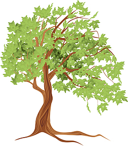 手绘夏天大树PNG