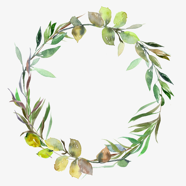 手绘水彩绿色叶子边框