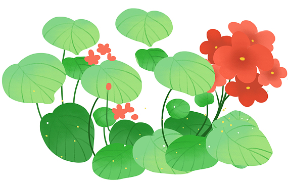 绿叶红花素材免费psd免费png精美圣诞节装饰元素免费png卡通小红花