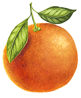 卡通手绘水果装饰海报设计橙子