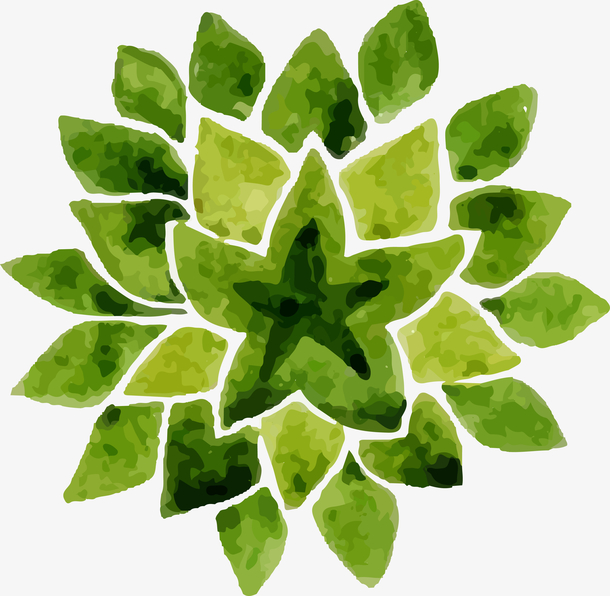 水彩绿色小清新叶子