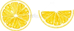 矢量手绘柠檬切片