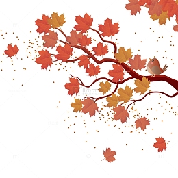 矢量秋天树枝下载