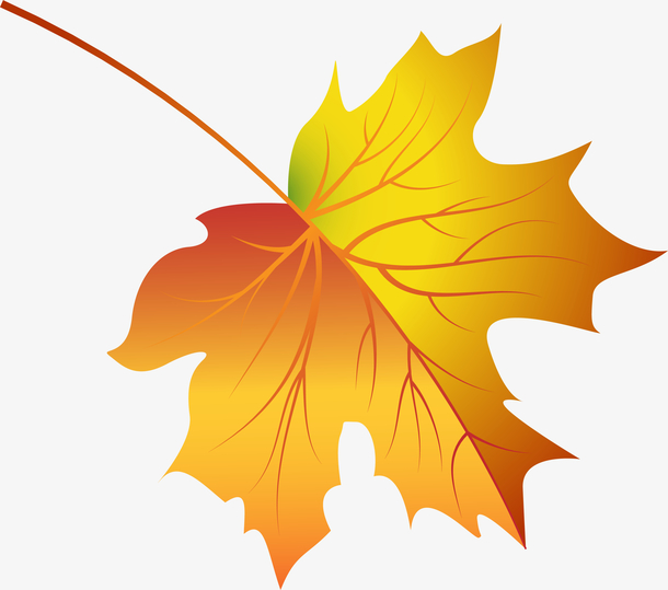 关键词 : 化妆品,枫叶,渐变,秋季,矢量图案,女性,装饰[声明] 觅元素