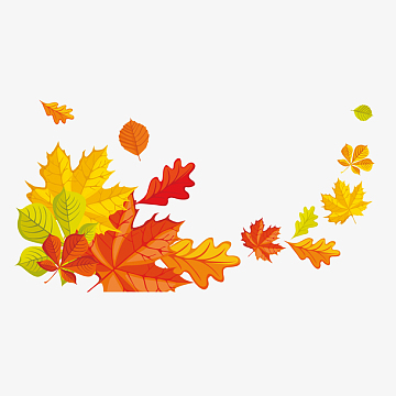 枫叶叠加素材图案