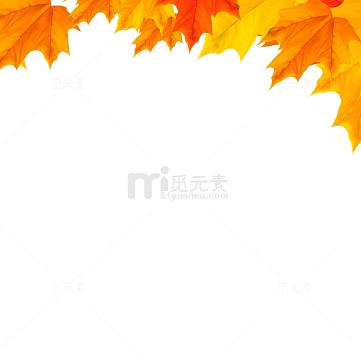 秋天黄色的枫树叶子
