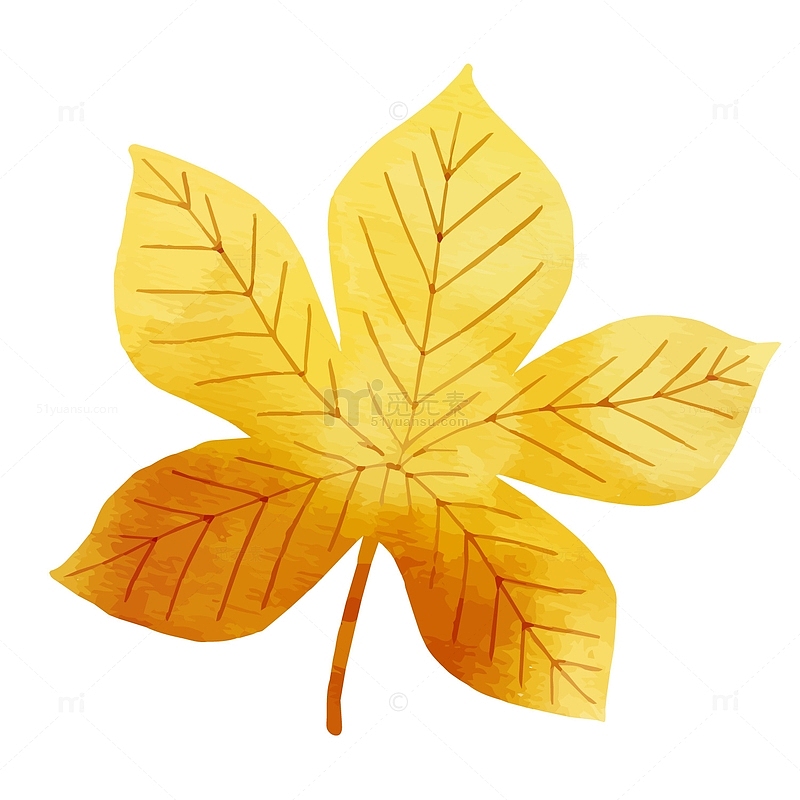 一片手绘的金黄色的叶子