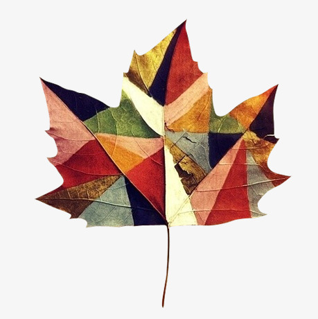 艺术抽象颜色枫叶图案